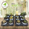 Mini huertos - Cactus