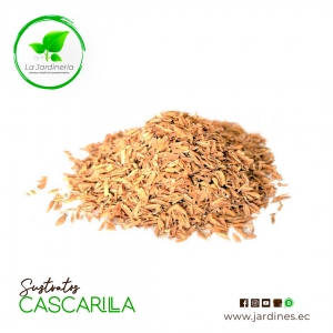 Cascarilla