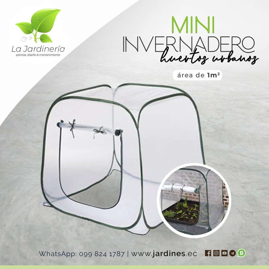 Mini invernadero propagador – BIG Garden Ecuador